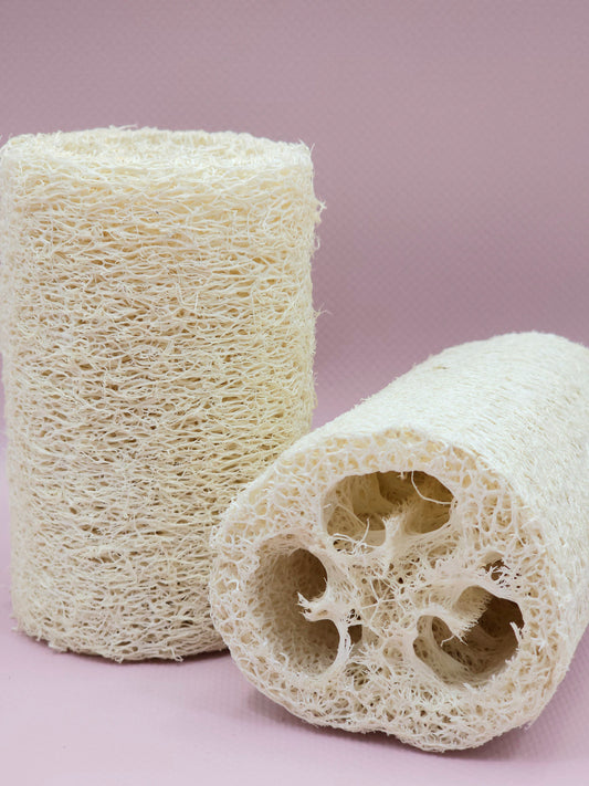 Loofah Sponge