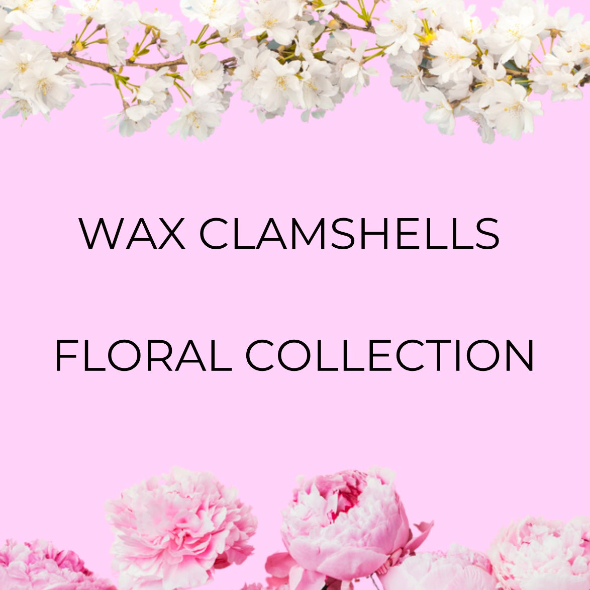 Floral Collection Wax Clamshells